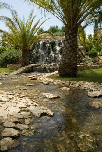 two palm trees and a waterfall in a yard at UNA HOTELS MH Matera in Matera