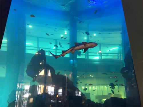 a aquarium with a mermaid in the water and fish at THE HOTELS HAKATA KASANE Bayside in Fukuoka