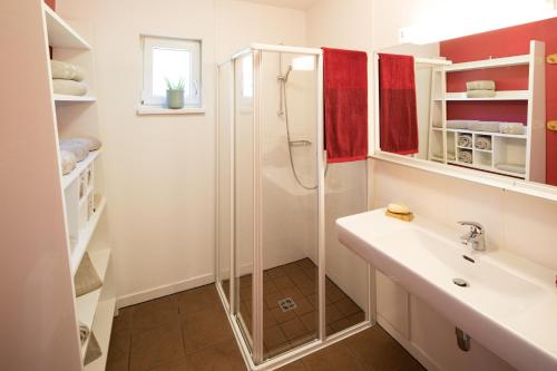 ein Bad mit einer Dusche und einem Waschbecken in der Unterkunft Hüttendorf Präbichl in Vordernberg