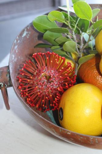a bowl of fruit with a kiwi and oranges at 365 Sunset Self Catering Apartments in Noordhoek