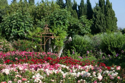 Κήπος έξω από το MAS DES FIGUES -très calme-Certifié Biologique FRBio10-jardin naturel écologique vivant-piscine 12x6-Copieux brunch paysan méditerranéen du jardin cuisine maison huile d'olive-Agritourisme-Alpilles-Saint Rémy de Provence-du 30 avril au 20 septembre 2026-
