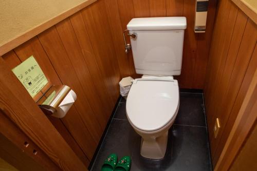a small bathroom with a toilet and a pair of green shoes at Matsushima Koumura in Matsushima