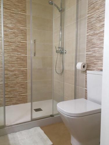 een badkamer met een douche, een toilet en een wastafel bij Casa Pammy in Málaga