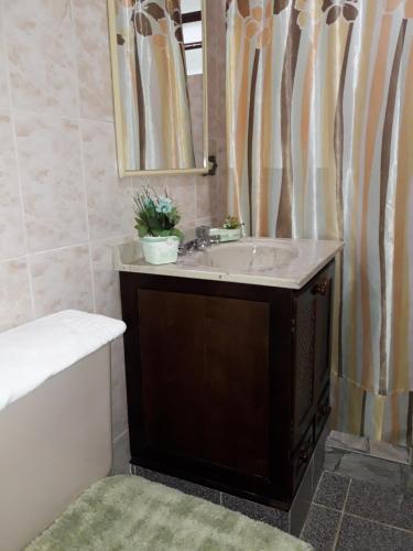 a bathroom with a sink and a mirror at Rancho da Raposa in Campos do Jordão