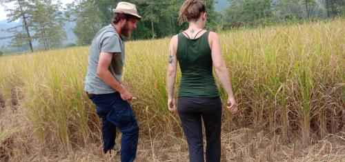 Επισκέπτες που μένουν στο Quang Thuận Bản Giốc Homestay