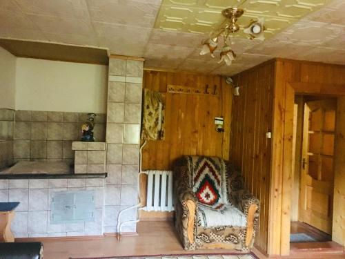 ein Wohnzimmer mit einem Sofa und einem Herd in der Unterkunft U Daryny in Jablunyzja