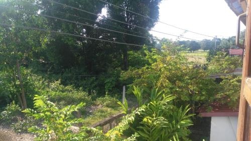 a view of a garden with trees and plants at Song Lao Guesthouse in Thakhek