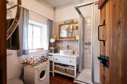 a small bathroom with a sink and a washing machine at Das Jagdhaus Bad Aussee in Bad Aussee