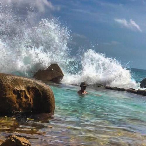 a person swimming in the ocean with a wave at Vi Miles Lodge in Mahe