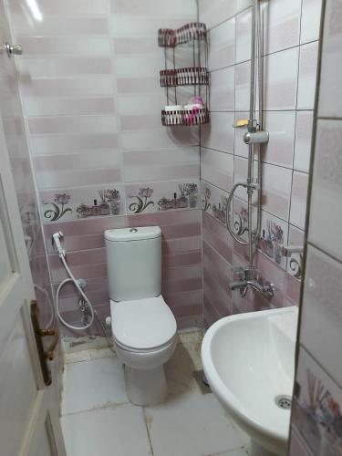 a bathroom with a toilet and a sink at Otasho Nile view house in Aswan