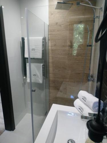 a bathroom with a glass shower and a sink at Willowa Chata in Dzianisz
