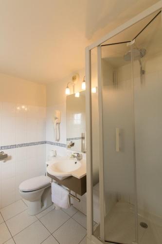 a bathroom with a toilet and a sink and a shower at Logis Hôtel Le Vert Galant in La Flèche