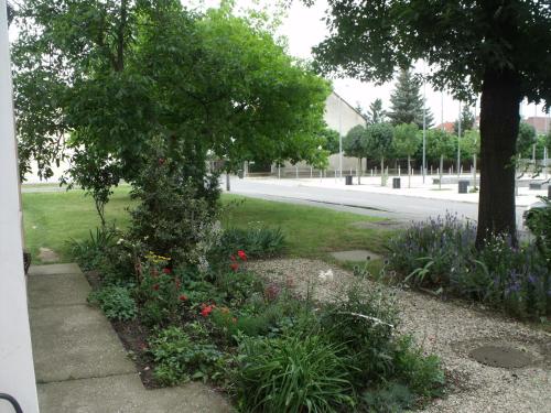 un jardín con flores y un árbol en una calle en Arena Apartment, en Szombathely