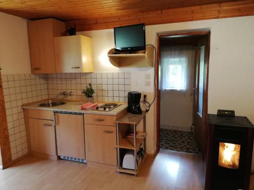 uma cozinha com um lavatório e uma televisão na parede em Almland Hütte em Pusterwald