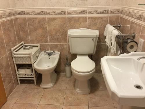 een badkamer met een toilet en een wastafel bij Atlantic View House in Doolin