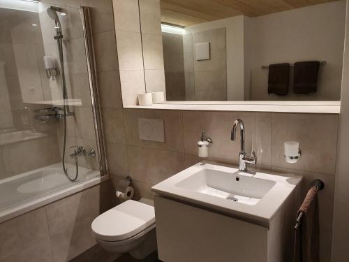 y baño con lavabo, aseo y ducha. en Wohnstation President Suite en Subingen