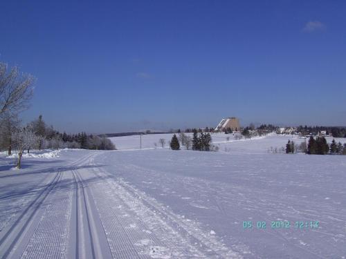 a snow covered field with tracks in the snow at Ferienwohnung Hauptmann in Frauenwald