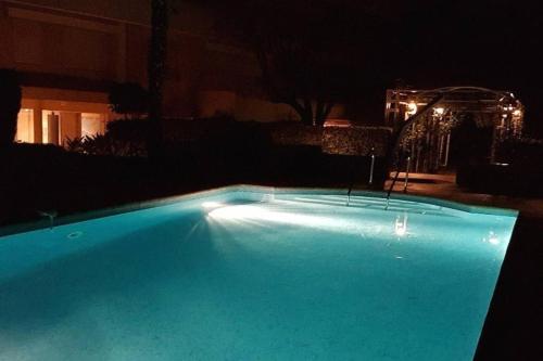 Lux Studio our swimming pool and garden photo 30