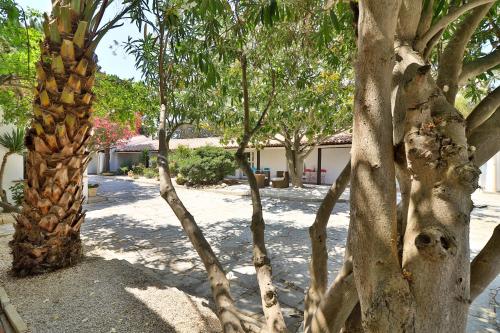 Fotografie z fotogalerie ubytování Les Rizières v Saintes-Maries-de-la-Mer