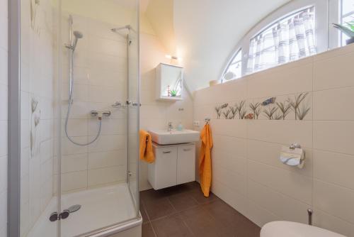 a bathroom with a shower toilet and a sink at Ferienhaus Rotmilan in Vieregge