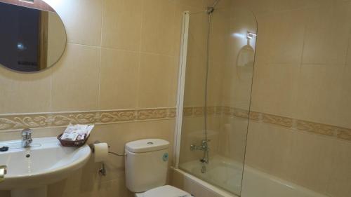 a bathroom with a toilet and a sink and a shower at Apartamento Palacio Azcárate Calle San Isidro in Ezcaray