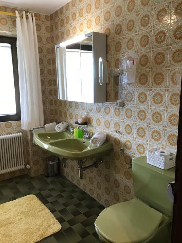 a bathroom with a green sink and a toilet at Haus Tälerblick in Trins