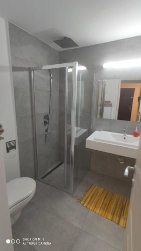 uma casa de banho com um chuveiro e um lavatório. em Popasu din oras em Baia Mare