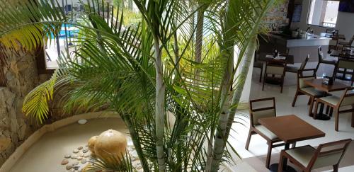 a restaurant with tables and chairs and a palm tree at Hotel Dubrovnik in Mérida