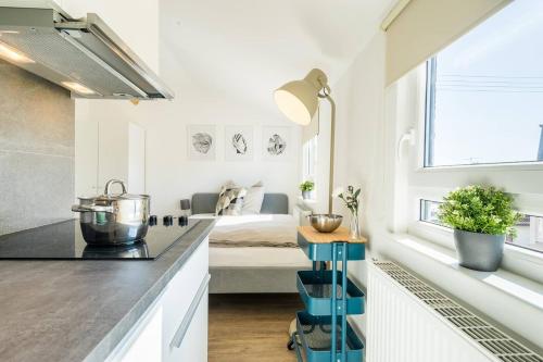a kitchen with a counter top and a living room at T11-Appartements & Boardinghouse in Villingen-Schwenningen