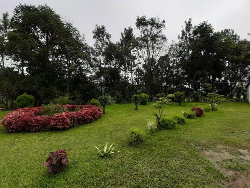 a garden with flowers and plants in the grass at Edgestay in Mudigere