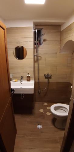 ein Bad mit einem WC und einem Waschbecken in der Unterkunft Braja House in Gjirokastër