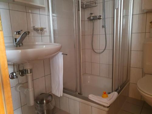 a bathroom with a shower and a sink and a toilet at Hotel Rosengärtli in Leissigen