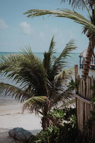 a palm tree on the beach next to a fence at Cielo Maya Beach Tulum in Tulum