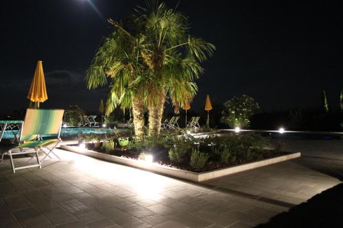 a palm tree sitting next to a pool at night at Agriturismo Verbena in Castiglione del Lago