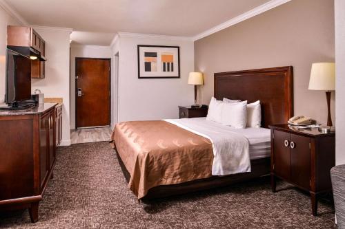 um quarto de hotel com uma cama e uma televisão em Quality Inn and Suites Beaumont em Beaumont