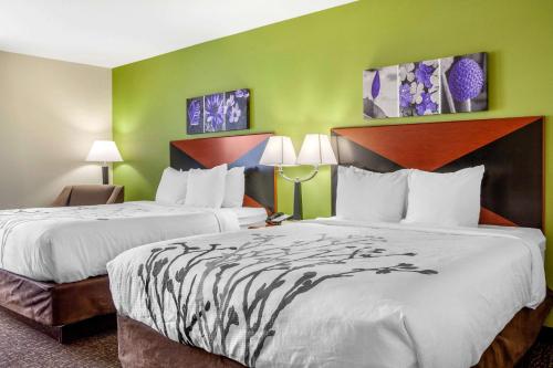 Sleep Inn & Suites Airport Milwaukee في ميلووكي: سريرين في غرفة فندق بجدران خضراء