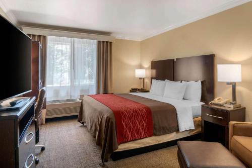 une chambre d'hôtel avec un lit et une télévision dans l'établissement Comfort Inn Columbia Gorge, à The Dalles