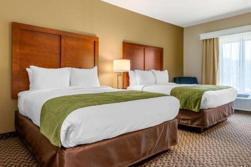 a hotel room with two beds and a window at Comfort Inn & Suites Florence Center Area in Florence