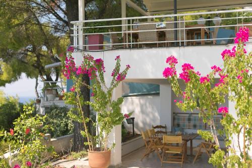 Zahrada ubytování Sani Beach Gallery Villa, your next family vacation!