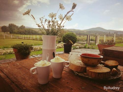 a wooden table with two cups of ice cream on it at Dósa tanya, Vendégház in Cserépfalu