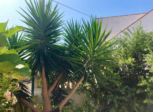 Villa Ani – Photos 3