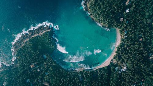 The Salty Pelican Yoga & Surf Retreat