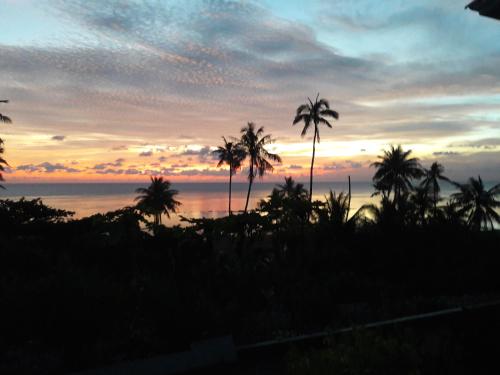 a sunset with palm trees in front of the ocean at Marind Dive Eco Resort in Waha