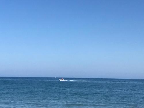 アパートメントの近くで見られる自然の景観