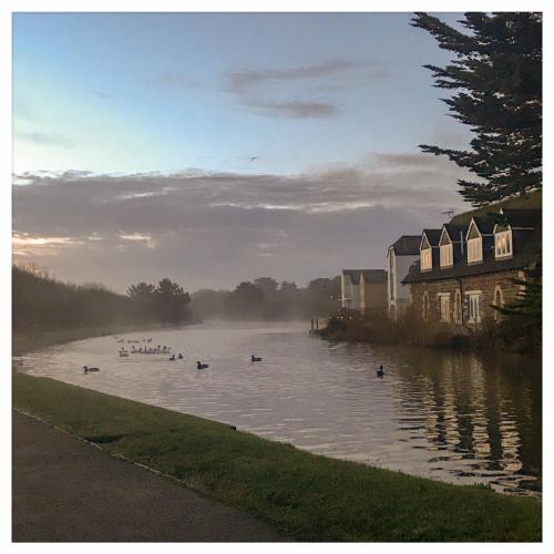 a group of ducks swimming in a river at The Falcon Hotel in Bude