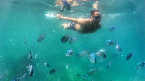 a man swimming in the water with fish at Sunbay Homestay Cu Lao Cham in Tân Hiệp