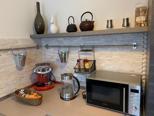 un comptoir de cuisine avec un four micro-ondes sur un comptoir dans l'établissement Remarkable home Bohinj Lake, à Bohinj