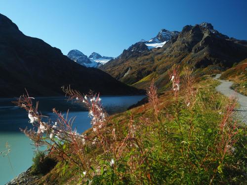 a view of a lake with mountains in the background at Appart Laijola in Gaschurn