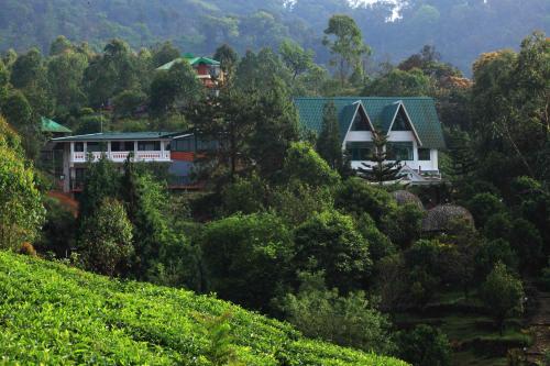 un grupo de casas en una colina con árboles en Camelot Resort, en Munnar