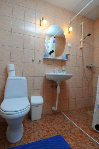 ein Badezimmer mit Toilette, Waschbecken und Spiegel in der Unterkunft Villa Ene in Pärnu